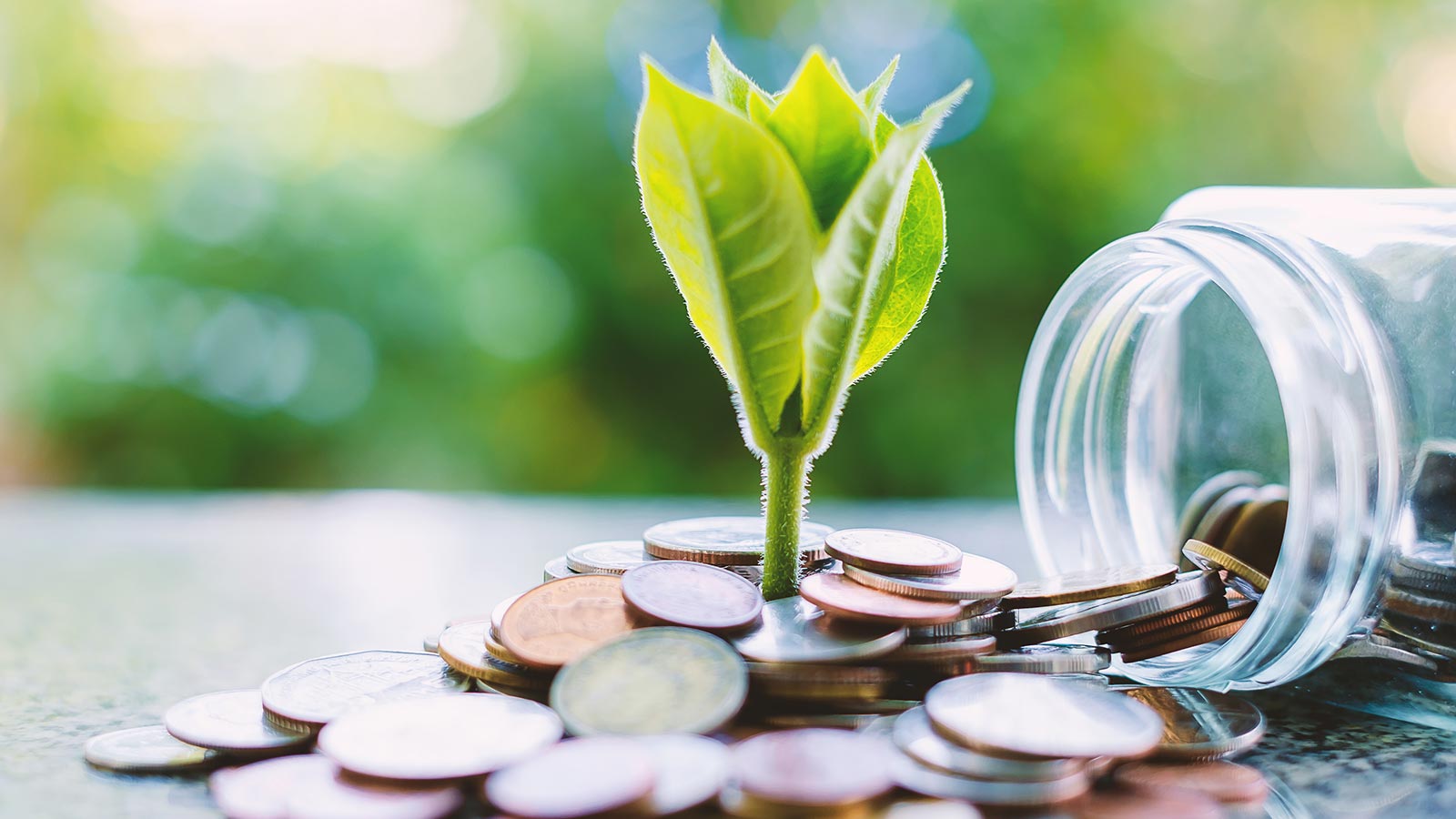 Préstamos ecológicos ¿y económicos?